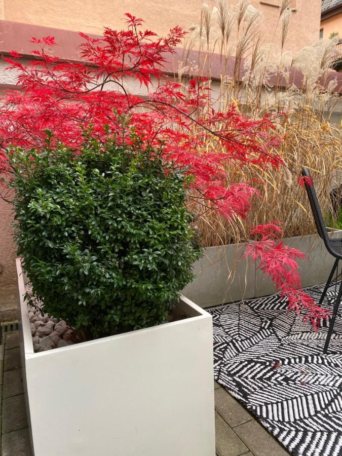 Como Design-Apartment Close To Isar River Area - Centrally Located Munchen Bagian luar foto